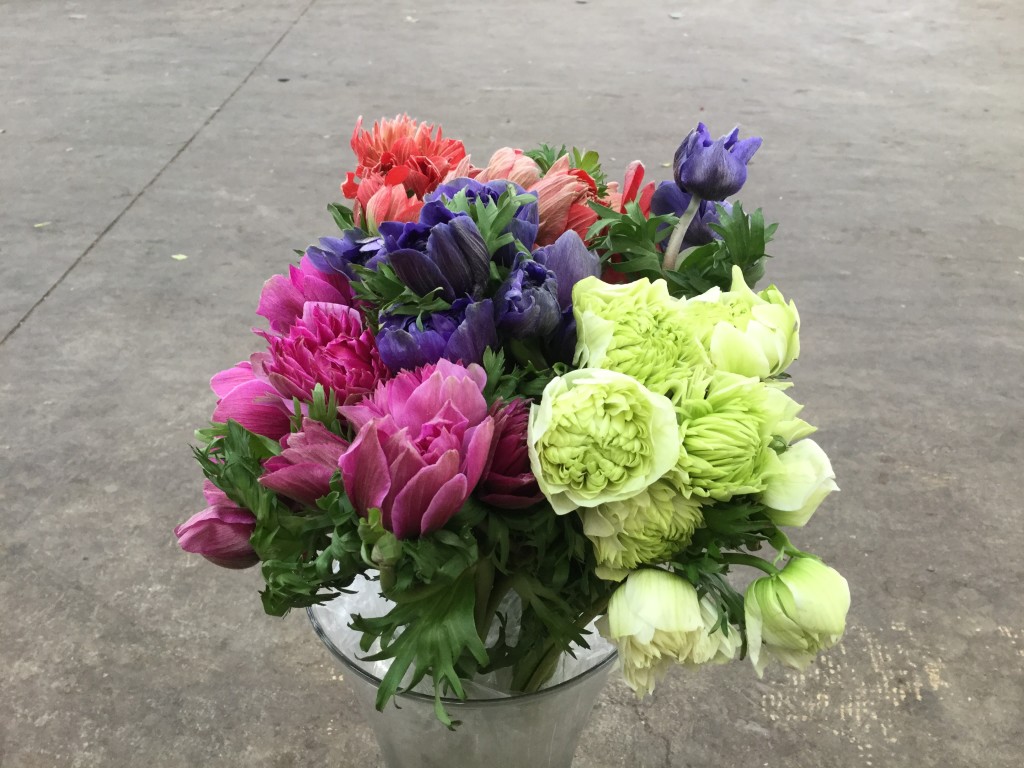 Anemone - Full Star Double Petal Side - Photo Credit Allison Linder