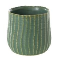 Palmero Pot 2