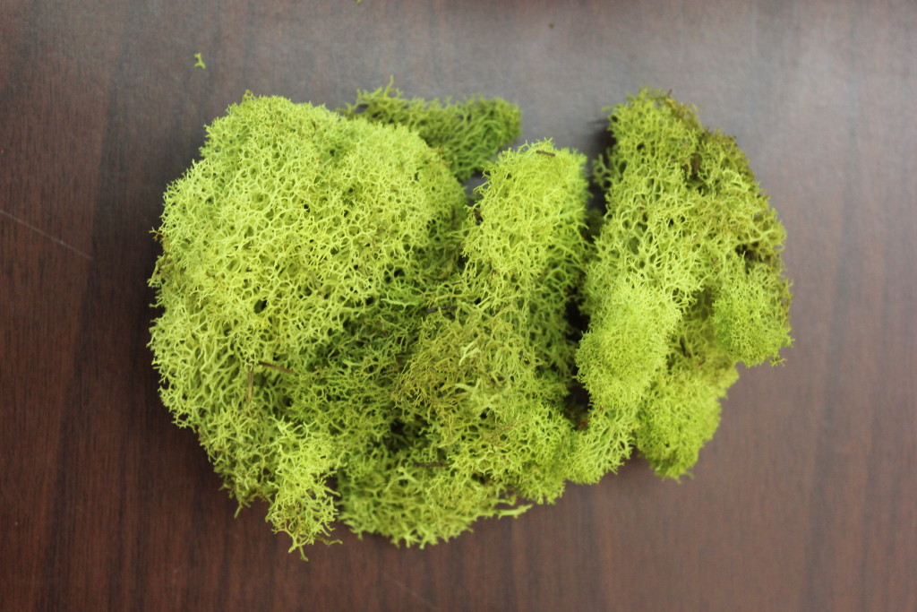 Moss Stevens and Son Wholesale Florist