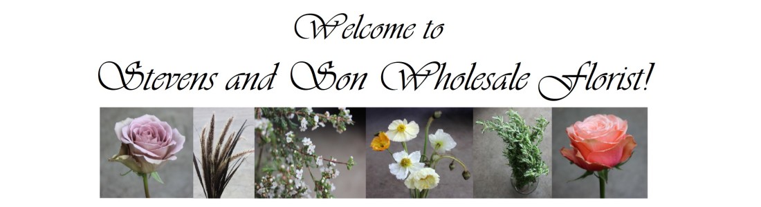 Design Master  Stevens and Son Wholesale Florist